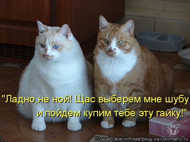 "Ладно,не ной! Щас выберем мне шубу и пойдем купим тебе эту гайку!"... Котоматрица: "Ладно,не ной! Щас выберем мне шубу и пойдем купим тебе эту гайку!"