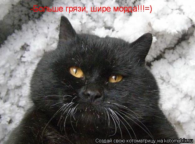 -Больше грязи, шире морда!!!=) -Больше грязи, шире морда!!!=)... Котоматрица: -Больше грязи, шире морда!!!=) -Больше грязи, шире морда!!!=)