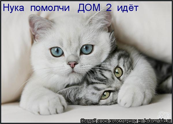 Нука помолчи ДОМ 2 идёт... Котоматрица: Нука помолчи ДОМ 2 идёт