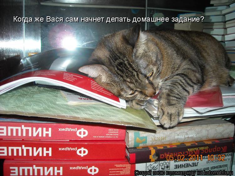Котоматрица: Когда же Вася сам начнет делать домашнее задание?
