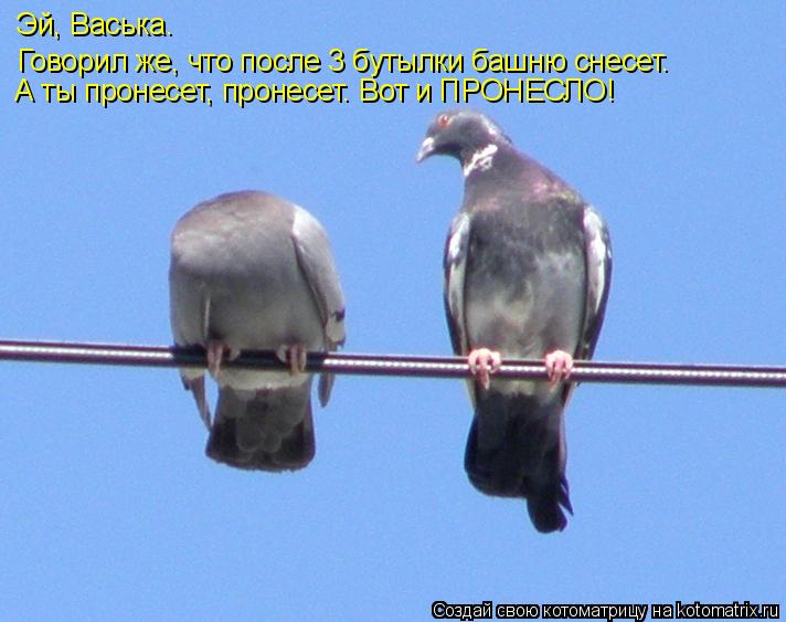 Эй, Васька. Говорил же, что после 3 бутылки башню снесет. А ты пронесет, пронесет. Вот и ПРОНЕСЛО!... Котоматрица: Эй, Васька. Говорил же, что после 3 бутылки башню снесет. А ты пронесет, пронесет. Вот и ПРОНЕСЛО!