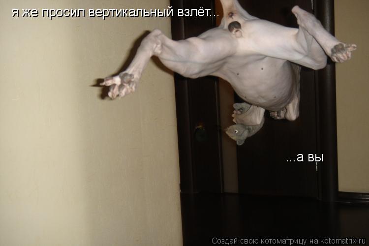Котоматрица: я же просил вертикальный взлёт... ...а вы