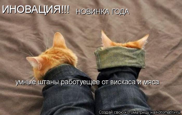 ИНОВАЦИЯ!!! НОВИНКА ГОДА умные штаны работуещее от вискаса и мяса... Котоматрица: ИНОВАЦИЯ!!! НОВИНКА ГОДА умные штаны работуещее от вискаса и мяса
