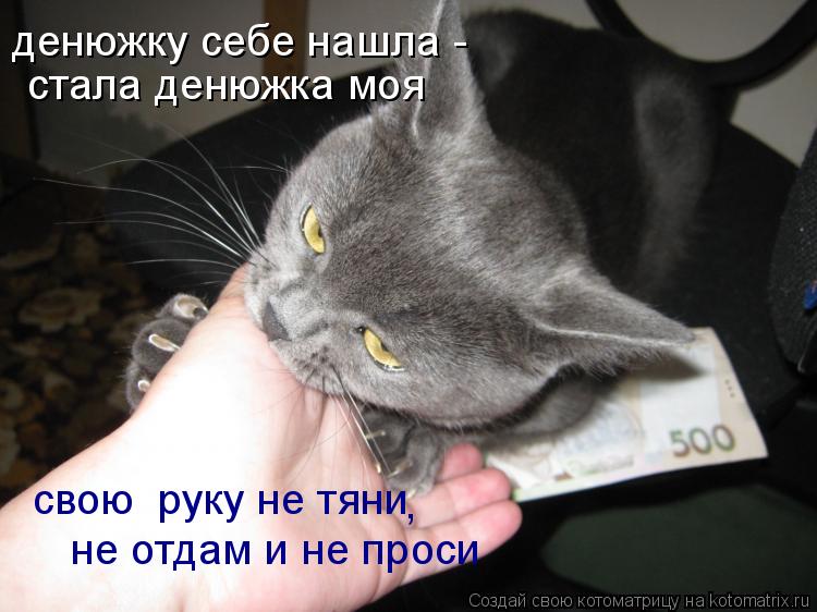 Котоматрица: денюжку себе нашла -  стала денюжка моя свою  руку не тяни не отдам и не проси ,