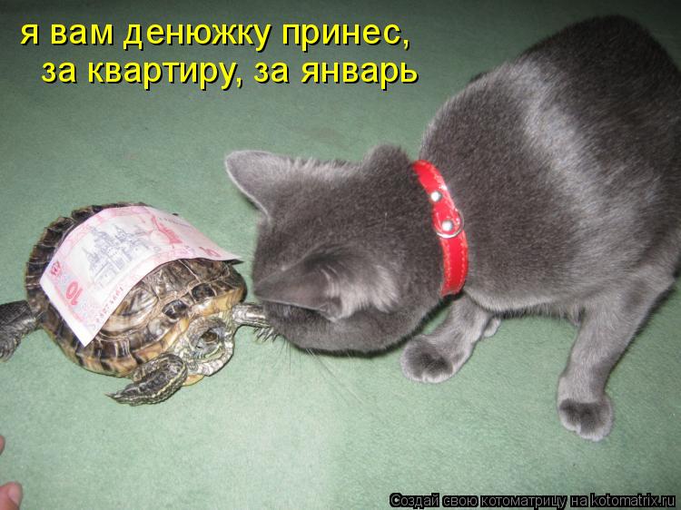 я вам денюжку принес, за квартиру, за январь... Котоматрица: я вам денюжку принес, за квартиру, за январь