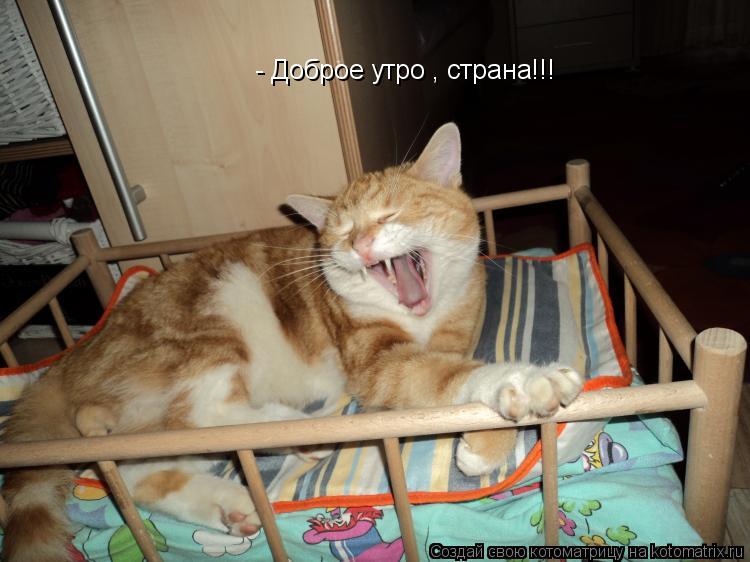 - Доброе утро , страна!!!... Котоматрица: - Доброе утро , страна!!!