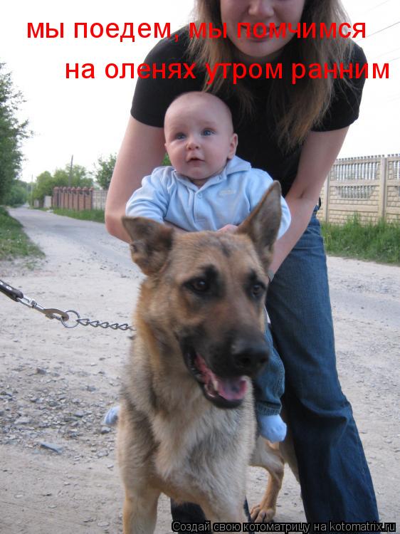 мы поедем, мы помчимся на оленях утром ранним... Котоматрица: мы поедем, мы помчимся на оленях утром ранним