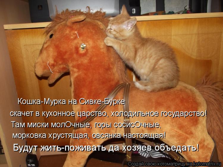 Кошка-Мурка на Сивке-Бурке скачет в кухонное царство, холодильное государство! Там миски молОчные, г... Котоматрица: Кошка-Мурка на Сивке-Бурке скачет в кухонное царство, холодильное государство! Там миски молОчные, горы сосисОчные, морковка хрустящая, ов