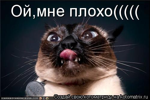 Ой,мне плохо(((((... Котоматрица: Ой,мне плохо(((((