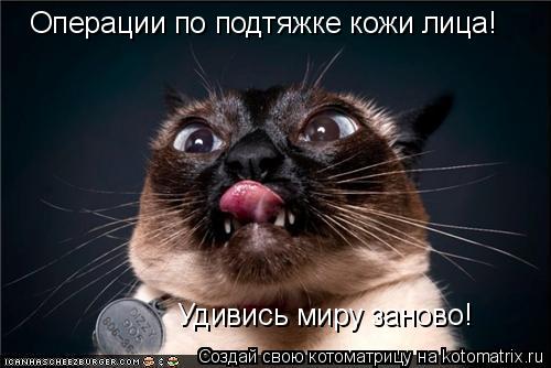 Котоматрица: Операции по подтяжке кожи лица! Удивись миру заново!