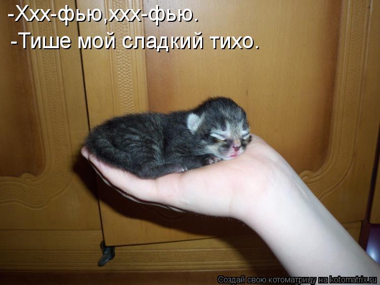 -Ххх-фью,ххх-фью. -Тише мой сладкий тихо.... Котоматрица: -Ххх-фью,ххх-фью. -Тише мой сладкий тихо.