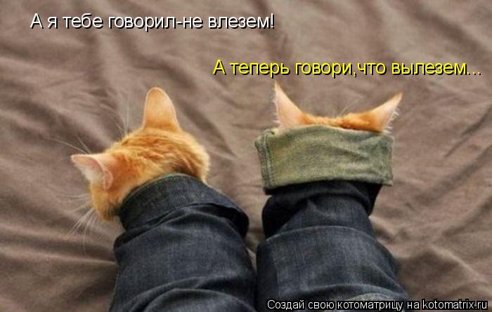 А я тебе говорил-не влезем! А теперь говори,что вылезем...... Котоматрица: А я тебе говорил-не влезем! А теперь говори,что вылезем...