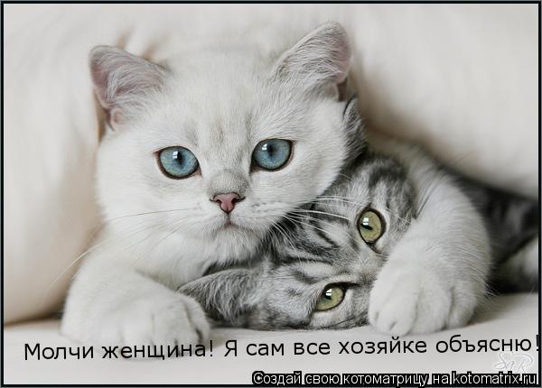 Молчи женщина! Я сам все хозяйке объясню!... Котоматрица: Молчи женщина! Я сам все хозяйке объясню!