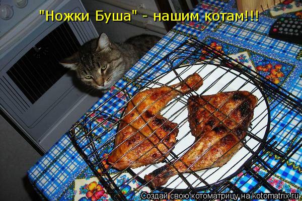 "Ножки Буша" - нашим котам!!!... Котоматрица: "Ножки Буша" - нашим котам!!!