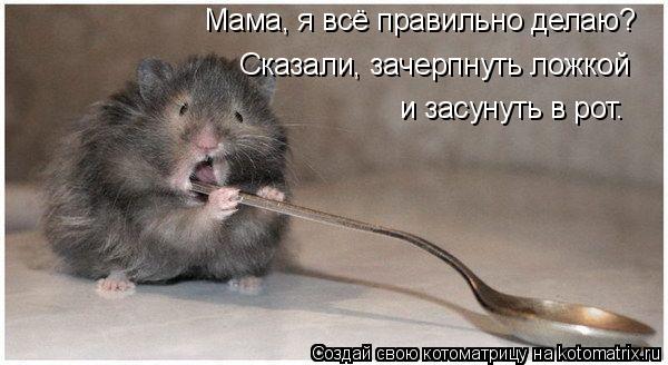Мама, я всё правильно делаю? Сказали, зачерпнуть ложкой и засунуть в рот.... Котоматрица: Мама, я всё правильно делаю? Сказали, зачерпнуть ложкой и засунуть в рот.
