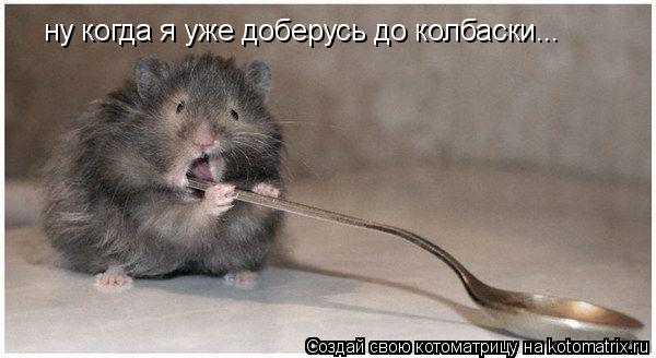 ну когда я уже доберусь до колбаски...... Котоматрица: ну когда я уже доберусь до колбаски...