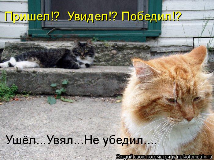 Пришел!? Увидел!? Победил!? Ушёл...Увял...Не убедил....... Котоматрица: Пришел!? Увидел!? Победил!? Ушёл...Увял...Не убедил....