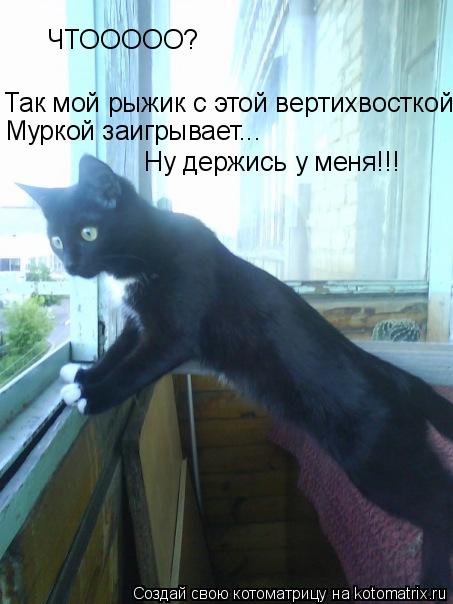ЧТООООО? Так мой рыжик с этой вертихвосткой Так мой рыжик с этой вертихвосткой Муркой заигрывает... Н... Котоматрица: ЧТООООО? Так мой рыжик с этой вертихвосткой Так мой рыжик с этой вертихвосткой Муркой заигрывает... Ну держись у меня!!!