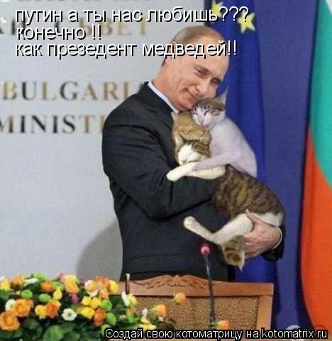 путин а ты нас любишь??? конечно !! как презедент медведей!!... Котоматрица: путин а ты нас любишь??? конечно !! как презедент медведей!!