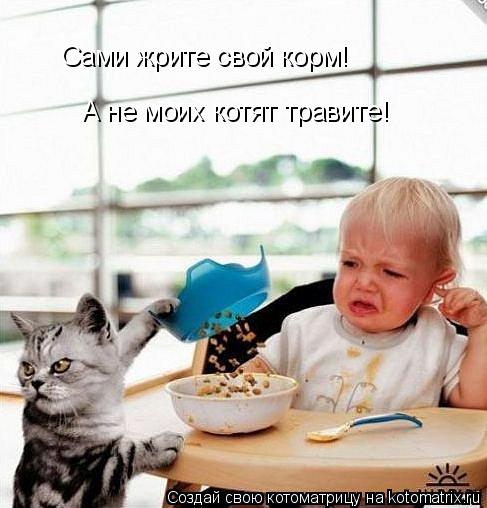 Сами жрите свой корм! А не моих котят травите!... Котоматрица: Сами жрите свой корм! А не моих котят травите!