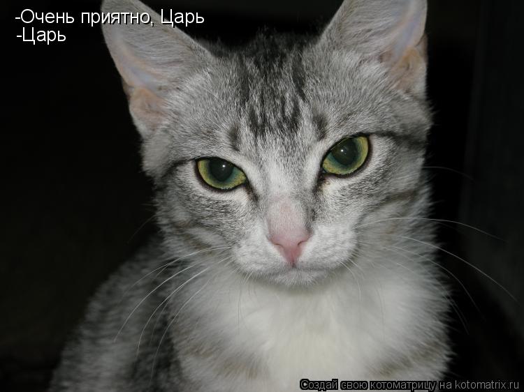 -Очень приятно, Царь -Царь... Котоматрица: -Очень приятно, Царь -Царь