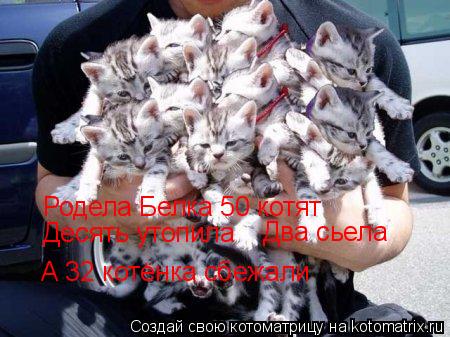 Родела Белка 50 котят Десять утопила Десять утопила Два сьела А 32 котёнка сбежали... Котоматрица: Родела Белка 50 котят Десять утопила Десять утопила Два сьела А 32 котёнка сбежали