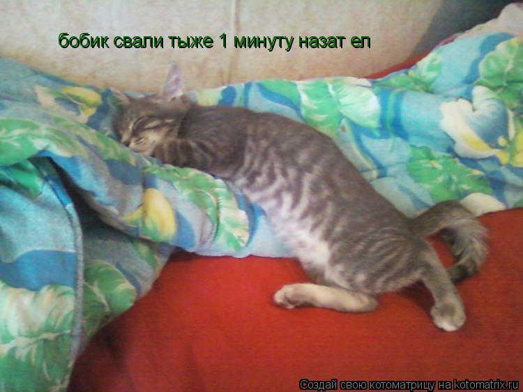 бобик свали тыже 1 минуту назат ел... Котоматрица: бобик свали тыже 1 минуту назат ел