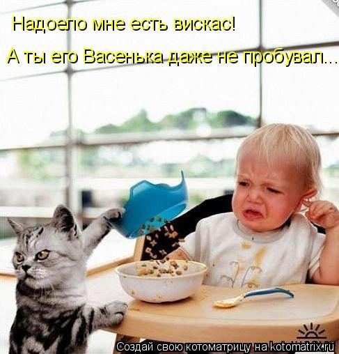 Надоело мне есть вискас! А ты его Васенька даже не пробувал...... Котоматрица: Надоело мне есть вискас! А ты его Васенька даже не пробувал...