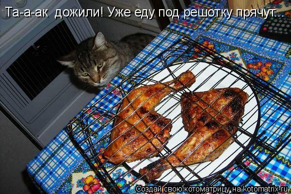Котоматрица: Та-а-ак  дожили! Уже еду под решотку прячут...