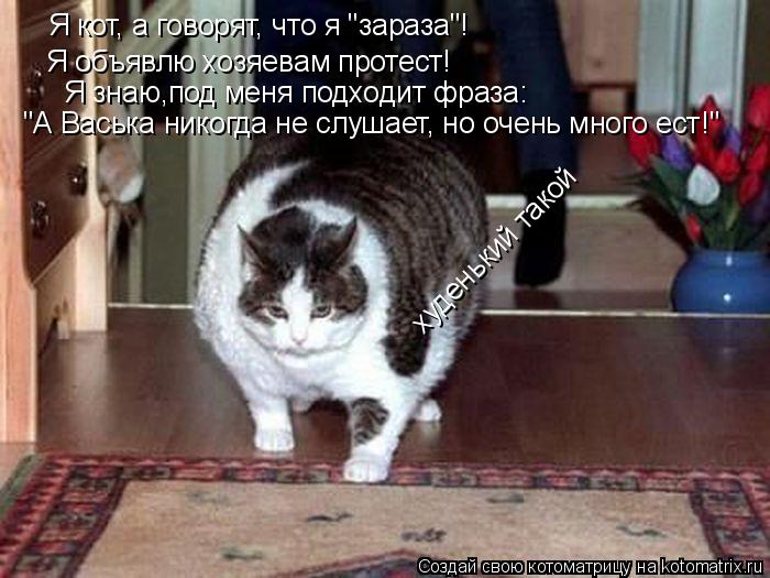 Котоматрица: Я кот, а говорят, что я "зараза"! Я объявлю хозяевам протест! Я знаю,под меня подходит фраза: "А Васька никогда не слушает, но очень много ест!" х