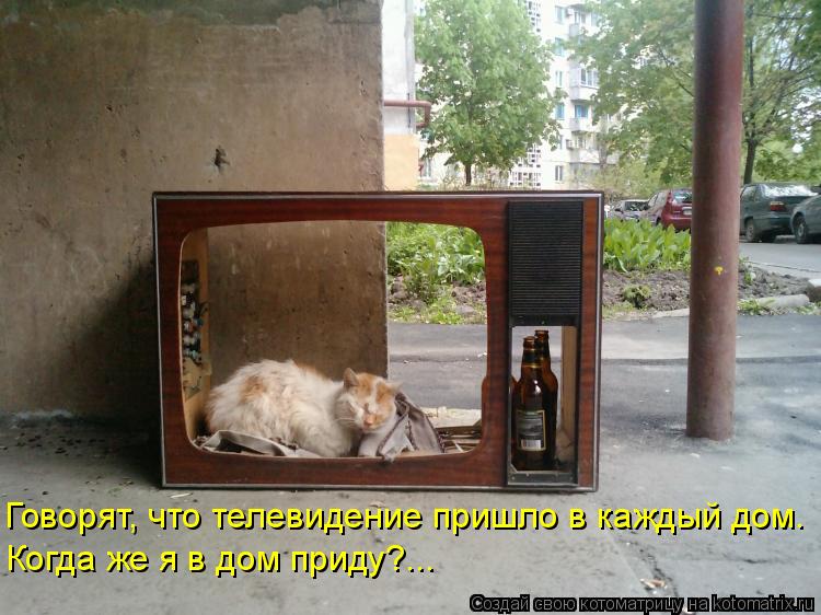 Котоматрица: Говорят, что телевидение пришло в каждый дом. Когда же я в дом приду?...