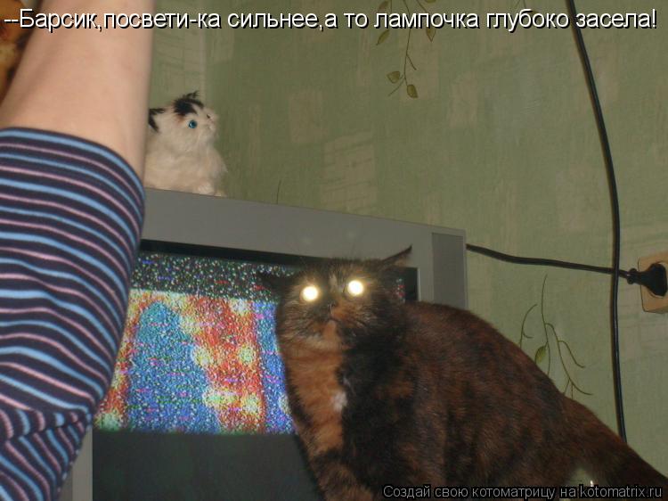 Котоматрица: --Барсик,посвети-ка сильнее,а то лампочка глубоко засела!
