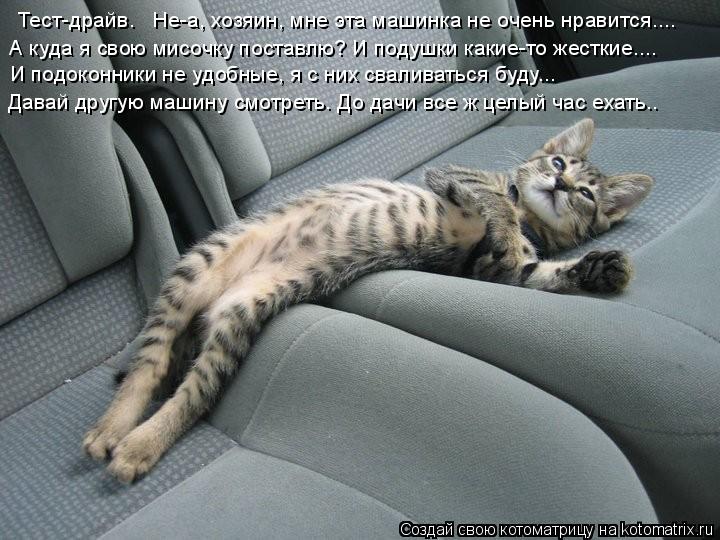Тест-драйв. Не-а, хозяин, мне эта машинка не очень нравится.... А куда я свою мисочку поставлю? И п... Котоматрица: Тест-драйв. Не-а, хозяин, мне эта машинка не очень нравится.... А куда я свою мисочку поставлю? И подушки какие-то жесткие.... И подоконники не у