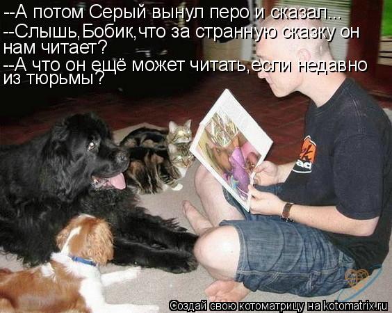 Котоматрица: --А потом Серый вынул перо и сказал... --Слышь,Бобик,что за странную сказку он  нам читает? --А что он ещё может читать,если недавно из тюрьмы?