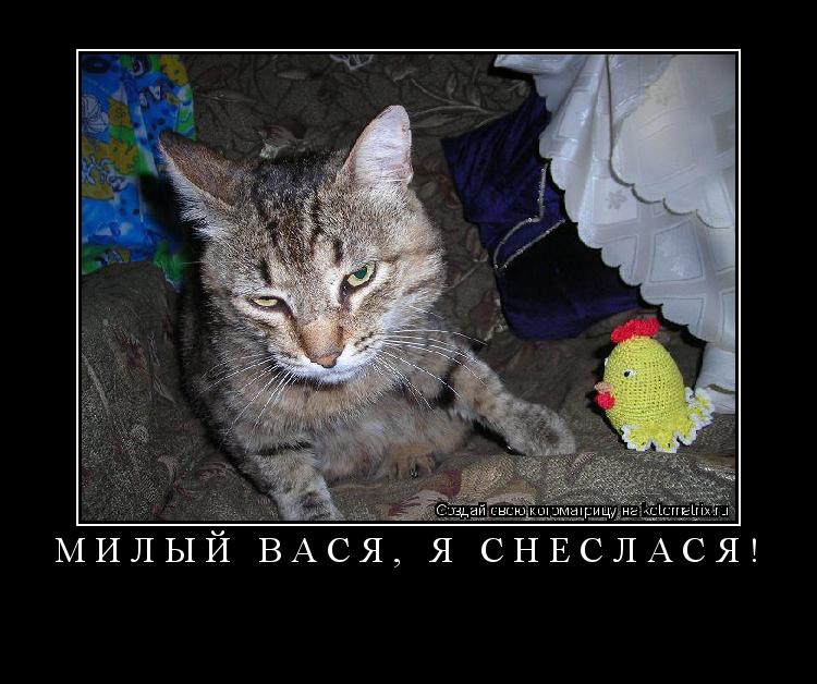 ... Котоматрица: