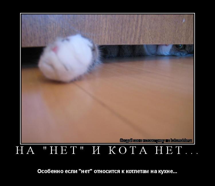 Котоматрица: На "нет" и кота нет... Особенно если "нет" относится к котлетам на кухне...