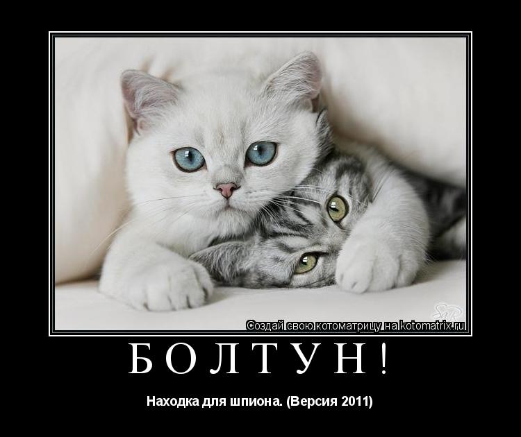 Котоматрица: Болтун! Находка для шпиона. (Версия 2011)