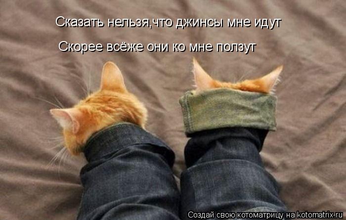 Сказать нельзя,что джинсы мне идут Скорее всёже они ко мне ползут... Котоматрица: Сказать нельзя,что джинсы мне идут Скорее всёже они ко мне ползут