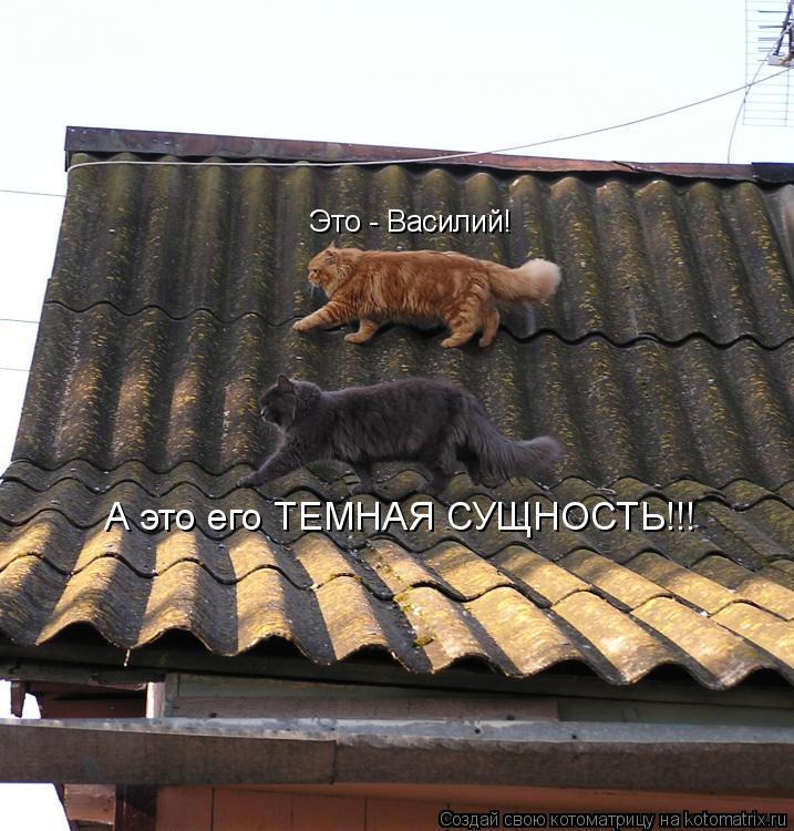 Котоматрица: Это - Василий! А это его ТЕМНАЯ СУЩНОСТЬ!!!