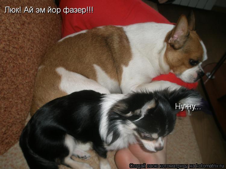 Люк! Ай эм йор фазер!!! Ну-ну...... Котоматрица: Люк! Ай эм йор фазер!!! Ну-ну...