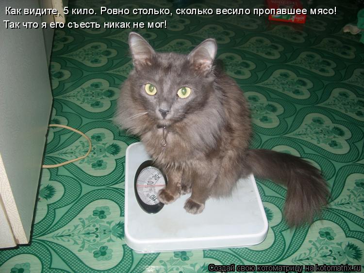 Котоматрица: Как видите, 5 кило. Ровно столько, сколько весило пропавшее мясо! Так что я его съесть никак не мог!