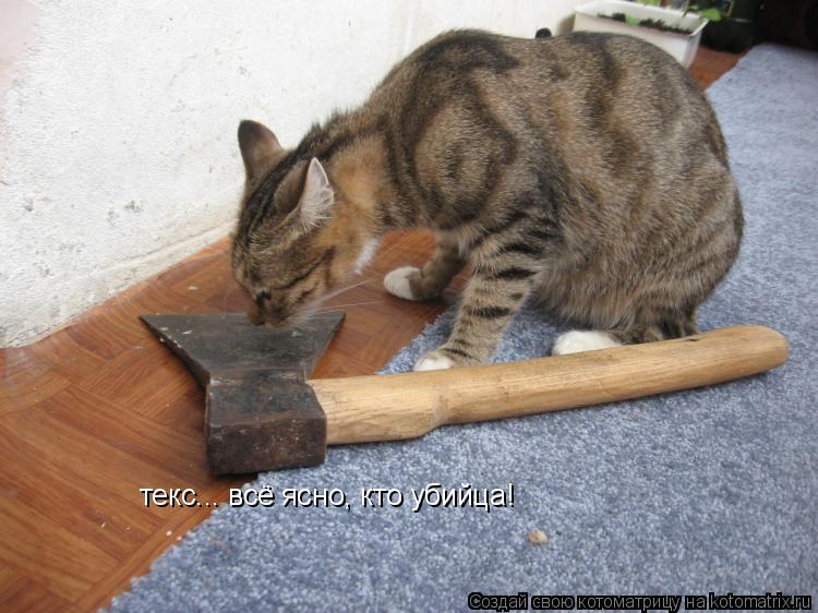 Котоматрица: текс... всё ясно, кто убийца!