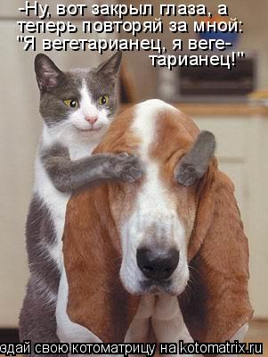 Котоматрица: -Ну, вот закрыл глаза, а  теперь повторяй за мной: "Я вегетарианец, я веге-  тарианец!"