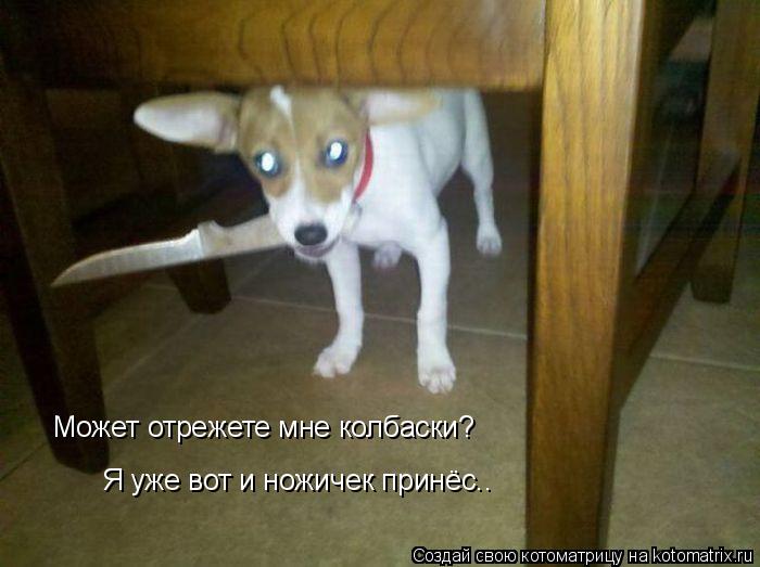 Котоматрица: Может отрежете мне колбаски? Я уже вот и ножичек принёс..