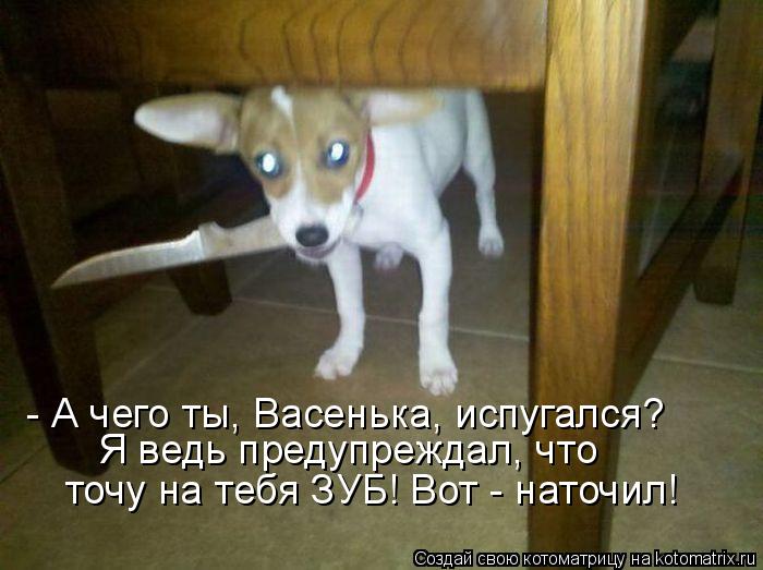 Вопросы - протезирование Веселые анекдоты про зубы и зубных врачей