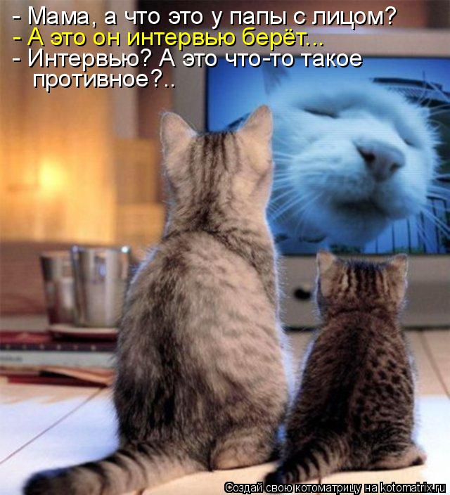 Котоматрица: - Мама, а что это у папы с лицом? - А это он интервью берёт... - Интервью? А это что-то такое  противное?..