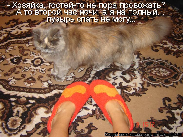 Котоматрица: - Хозяйка, гостей-то не пора провожать? А то второй час ночи, а я на полный... пузырь спать не могу...