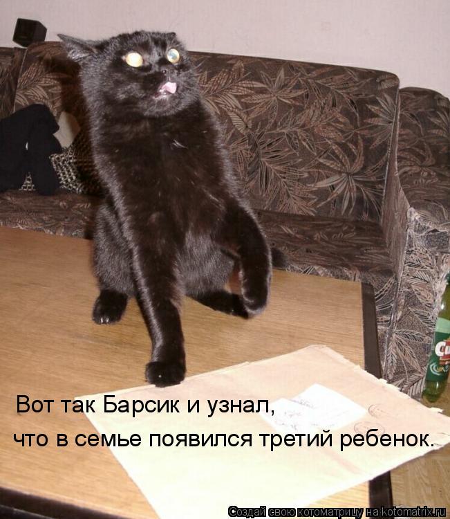 Вот так Барсик и узнал, что в семье появился третий ребенок.... Котоматрица: Вот так Барсик и узнал, что в семье появился третий ребенок.