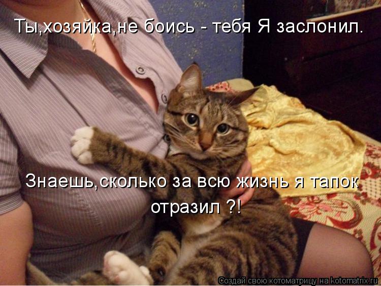 Знаешь,сколько за всю жизнь я тапок отразил ?! Ты,хозяйка,не боись - тебя Я заслонил.... Котоматрица: Знаешь,сколько за всю жизнь я тапок отразил ?! Ты,хозяйка,не боись - тебя Я заслонил.