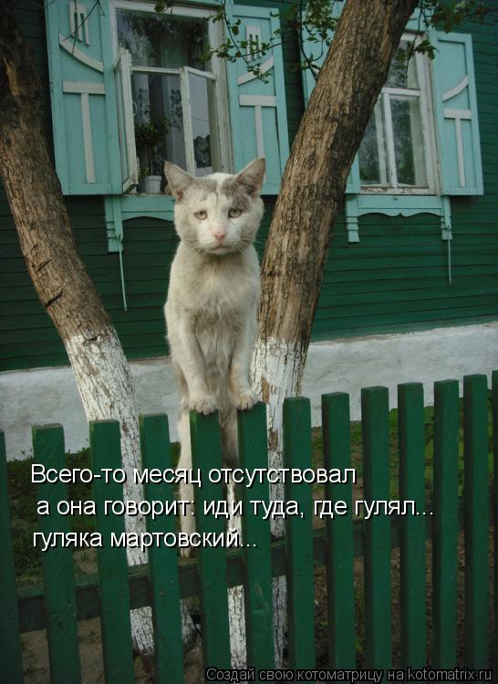 Всего-то месяц отсутствовал а она говорит: иди туда, где гулял... гуляка мартовский...... Котоматрица: Всего-то месяц отсутствовал а она говорит: иди туда, где гулял... гуляка мартовский...